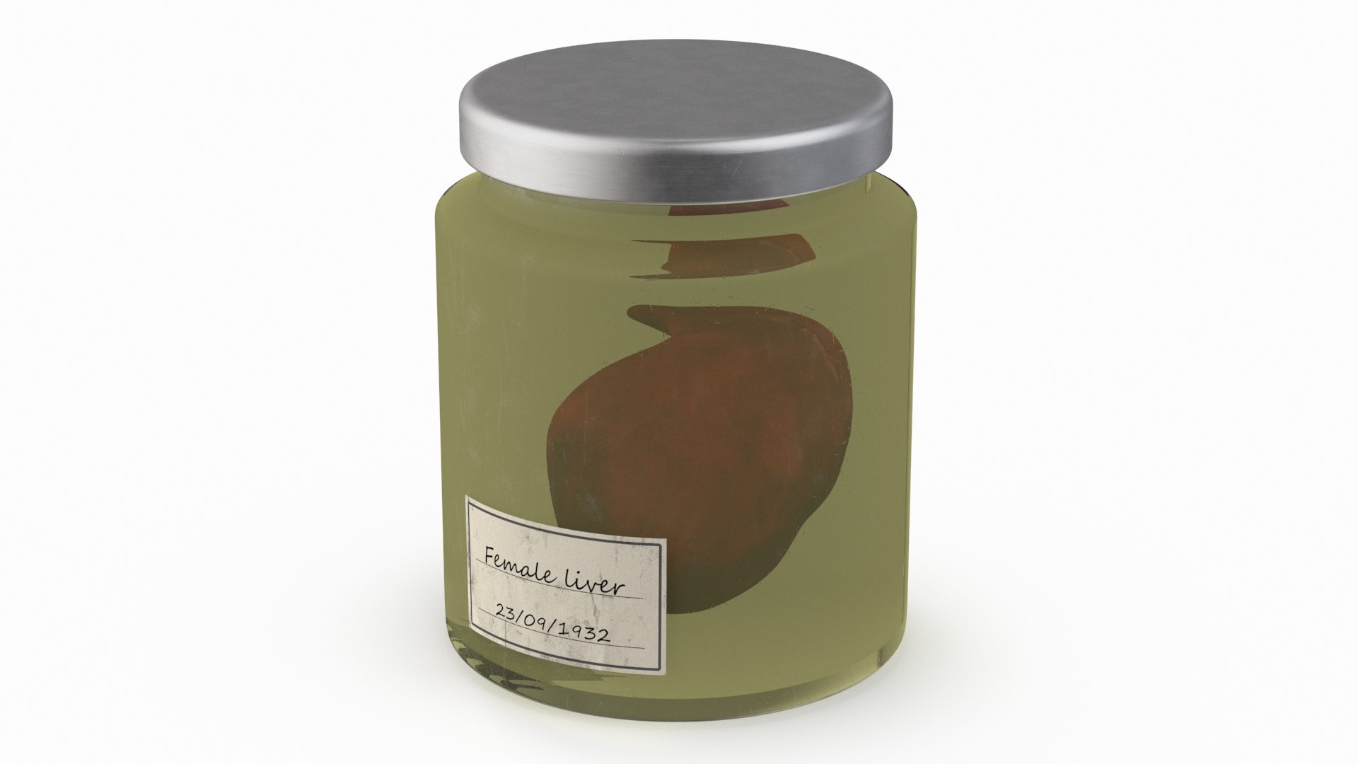 Human Liver Organ in a Jar 3D model preview
