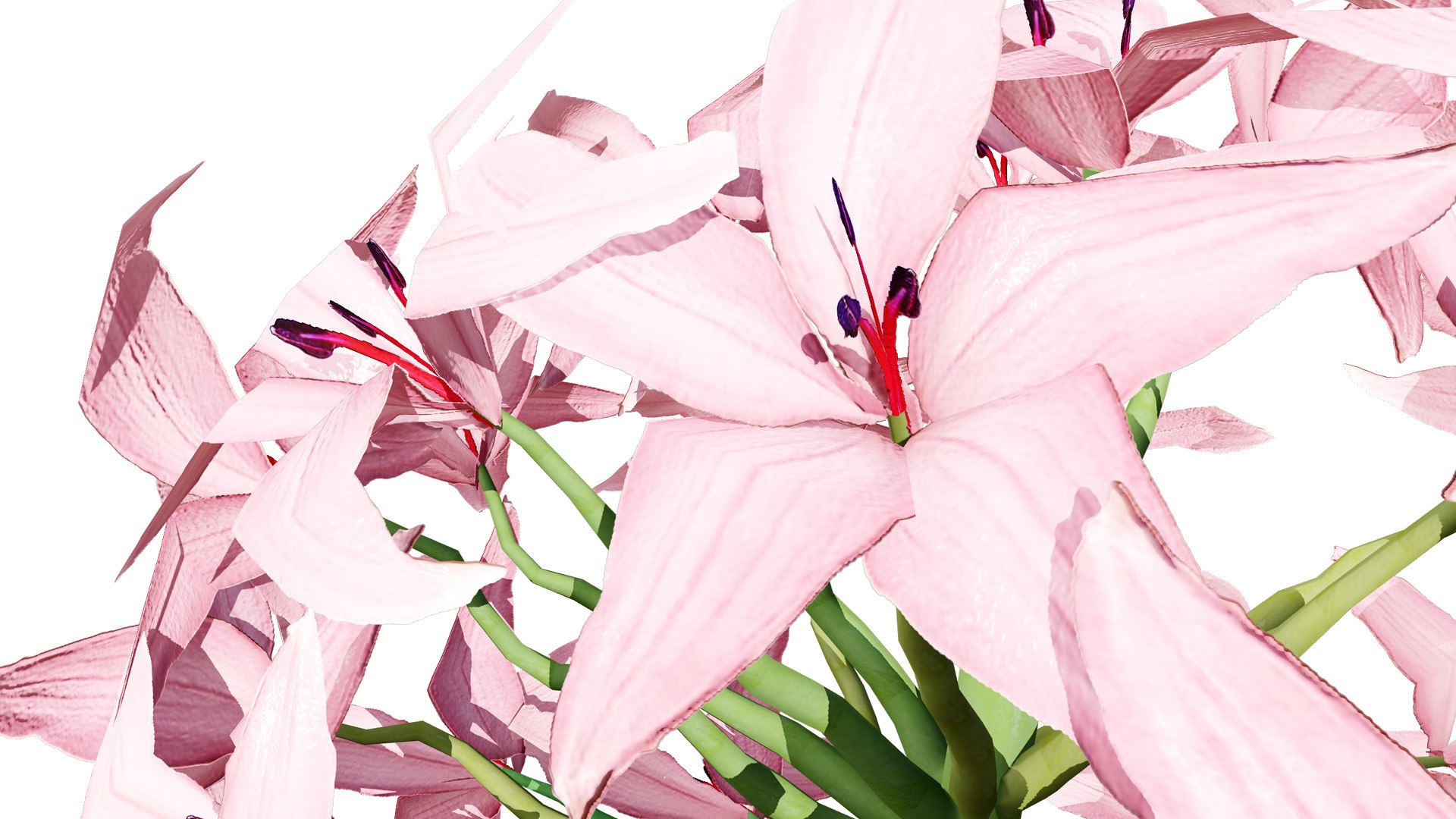 3D Candelabra Flower 3D Models https://p.turbosquid.com/ts-thumb/KQ/HZRtrS/0M/candelabra4l/jpg/1750105032/1920x1080/fit_q87/e6ca993799396aa6c218ea6eefe0fc6785f11ca4/candelabra4l.jpg
