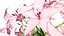 Modelli 3D di fiori a candelabro