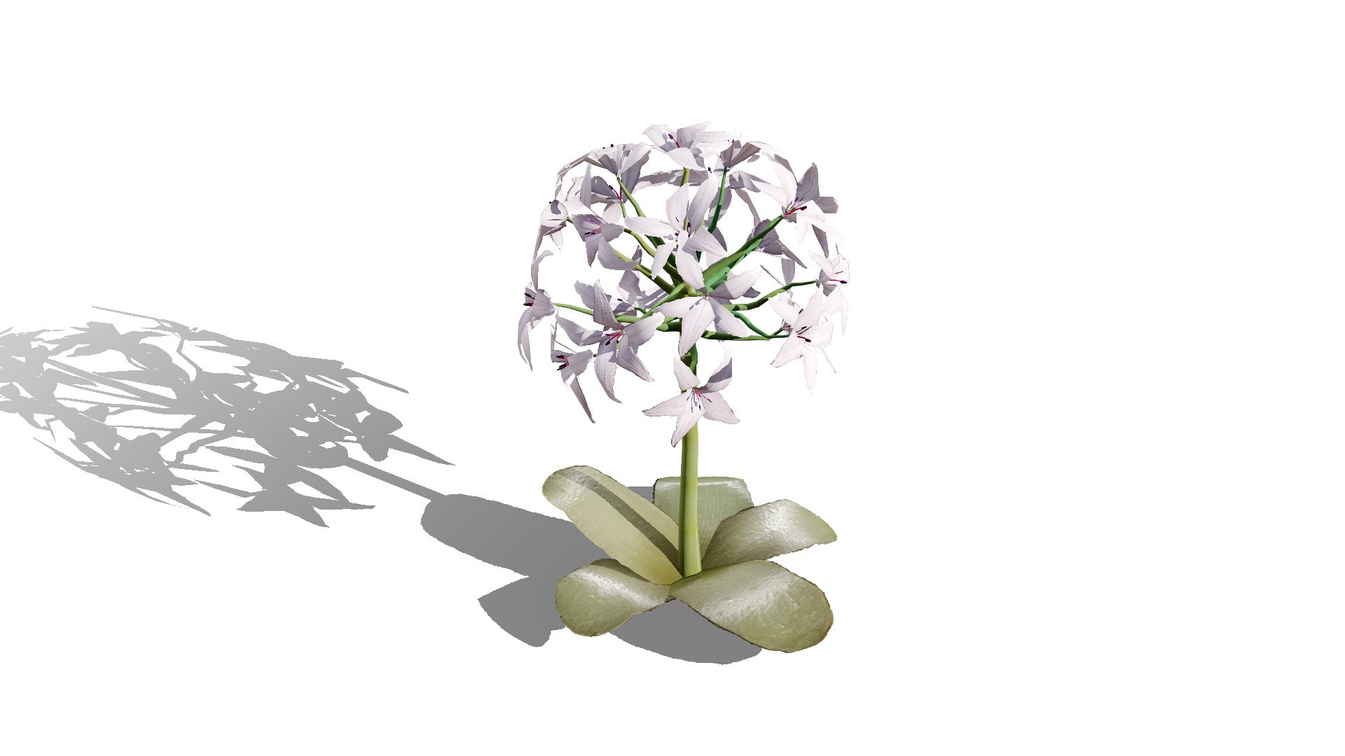3D Candelabra Flower 3D Models https://p.turbosquid.com/ts-thumb/KQ/HZRtrS/1P/candelabra3l/jpg/1750105031/1920x1080/fit_q87/75fbe7bc2b1f30a8f1dec5949f590b2bbfdd8fdf/candelabra3l.jpg