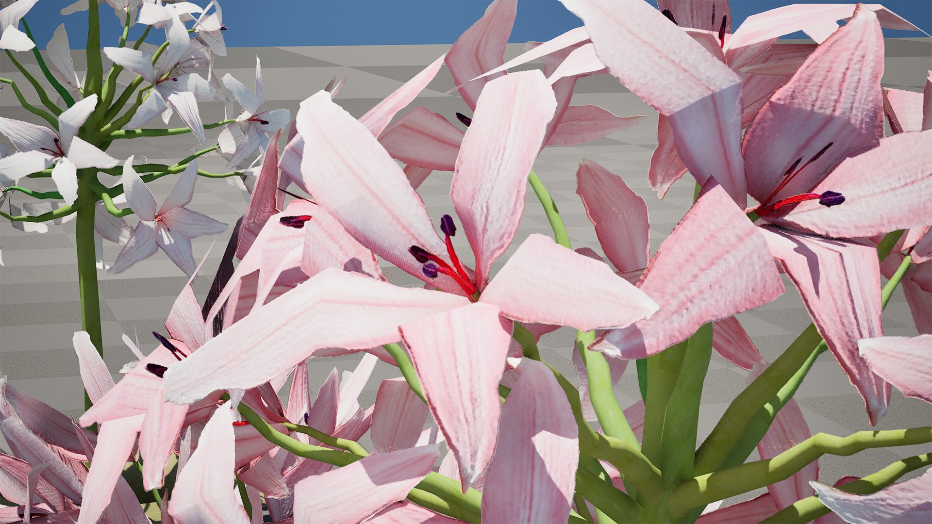 3D Candelabra Flower 3D Models https://p.turbosquid.com/ts-thumb/KQ/HZRtrS/Hn/highresscreenshot00007/jpg/1750105034/1920x1080/fit_q87/1b376e6d847734bf4a0e1fb167b364927343ce21/highresscreenshot00007.jpg