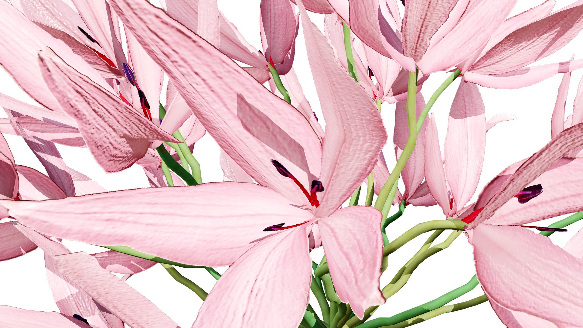 3D Candelabra Flower 3D Models https://p.turbosquid.com/ts-thumb/KQ/HZRtrS/KV/candelabra133l/jpg/1750105033/1920x1080/fit_q87/de77d22fd2108c6c950136a32a8b2240c87b4ef4/candelabra133l.jpg
