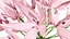 Modelli 3D di fiori a candelabro