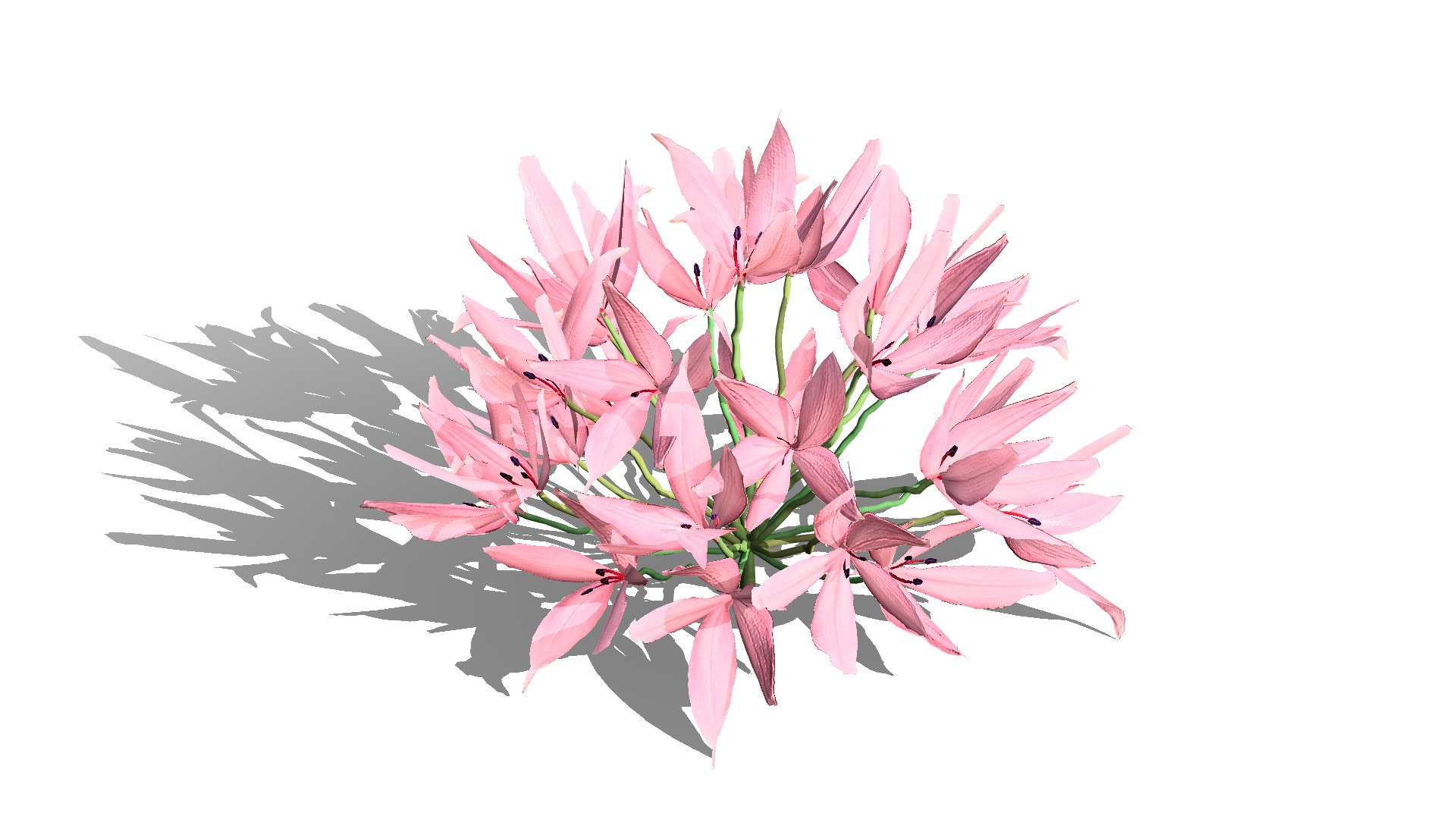 3D Candelabra Flower 3D Models https://p.turbosquid.com/ts-thumb/KQ/HZRtrS/fm/candelabra1l/jpg/1750105030/1920x1080/fit_q87/7be1d2d568280a4a7efe256d6fc019cb947d5817/candelabra1l.jpg