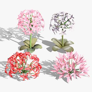3D Candelabra Flower 3D Models