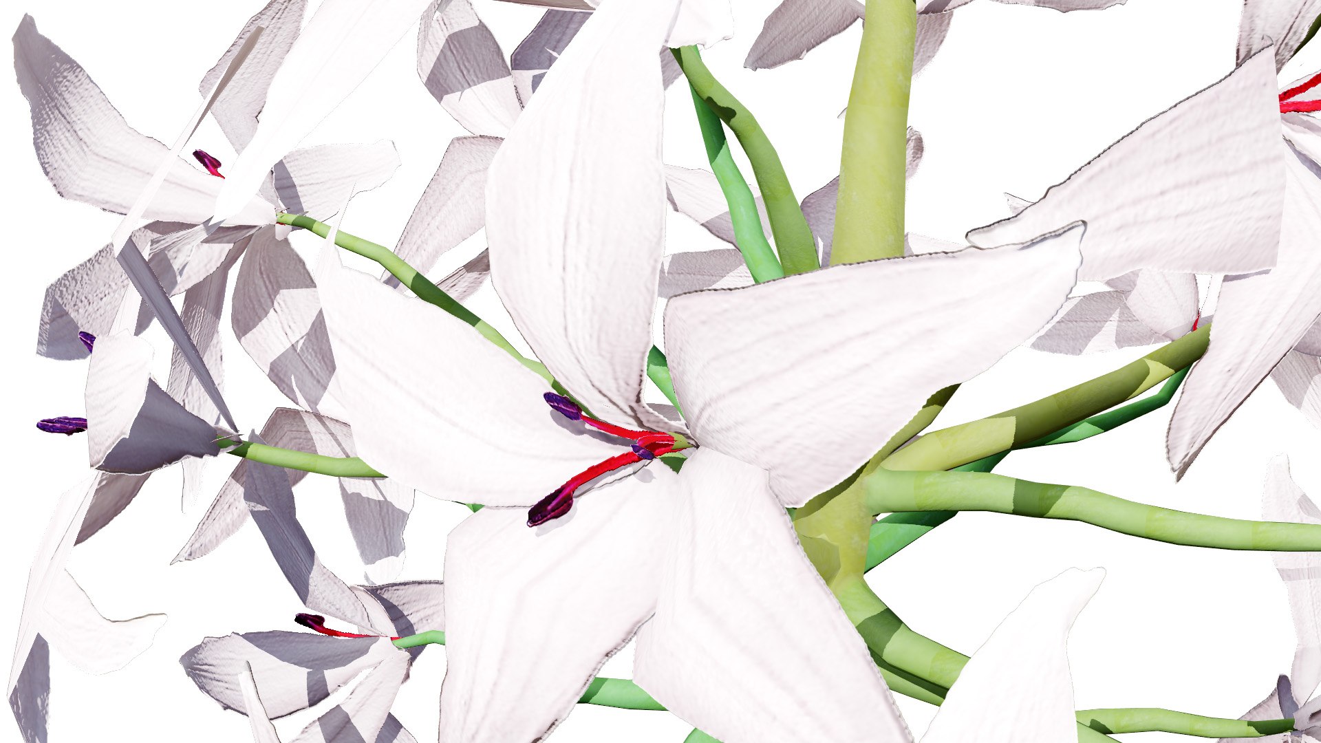 3D Candelabra Flower 3D Models https://p.turbosquid.com/ts-thumb/KQ/HZRtrS/wv/candelabra32l/jpg/1750105033/1920x1080/fit_q87/fc27c79fb7df3918da3caccc59f7ec5485f61dd0/candelabra32l.jpg