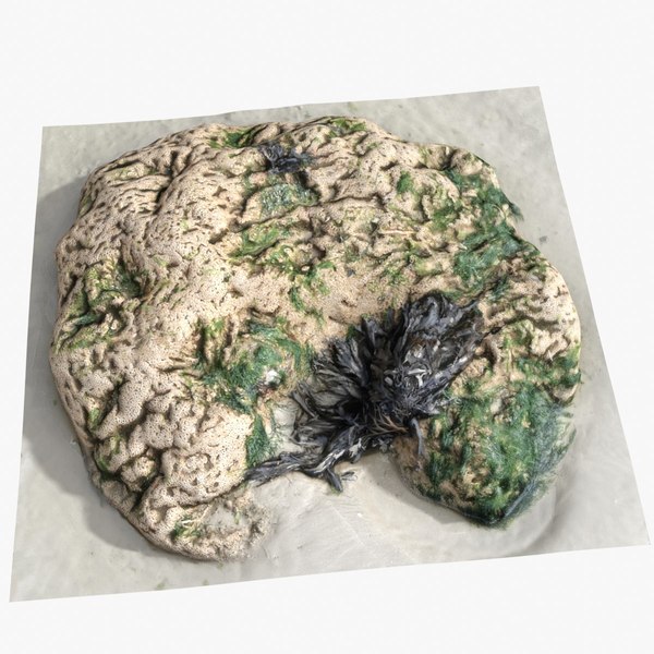 3D Rock 3D Scan 17