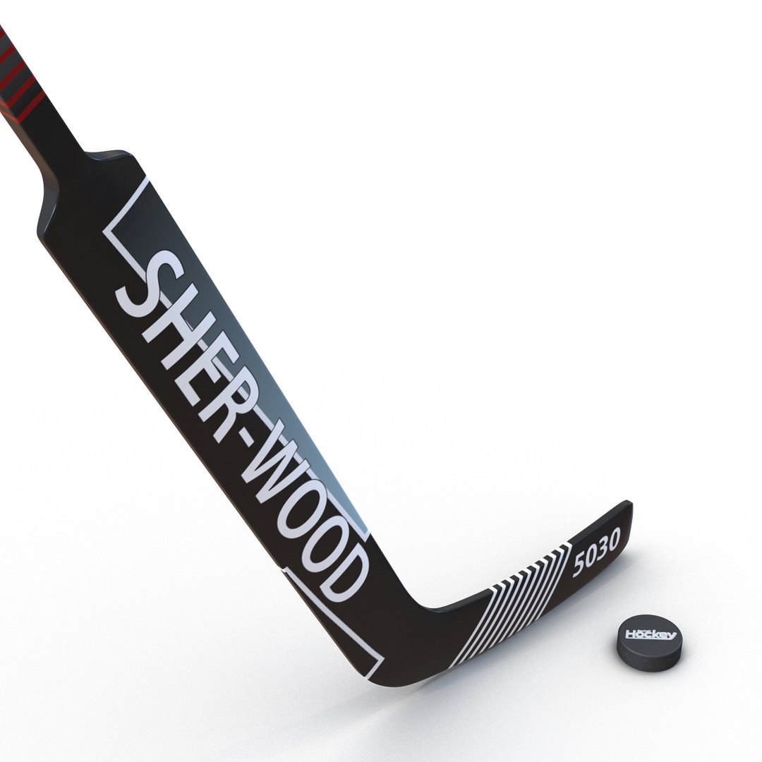 3d Goalie Hockey Stick Puck