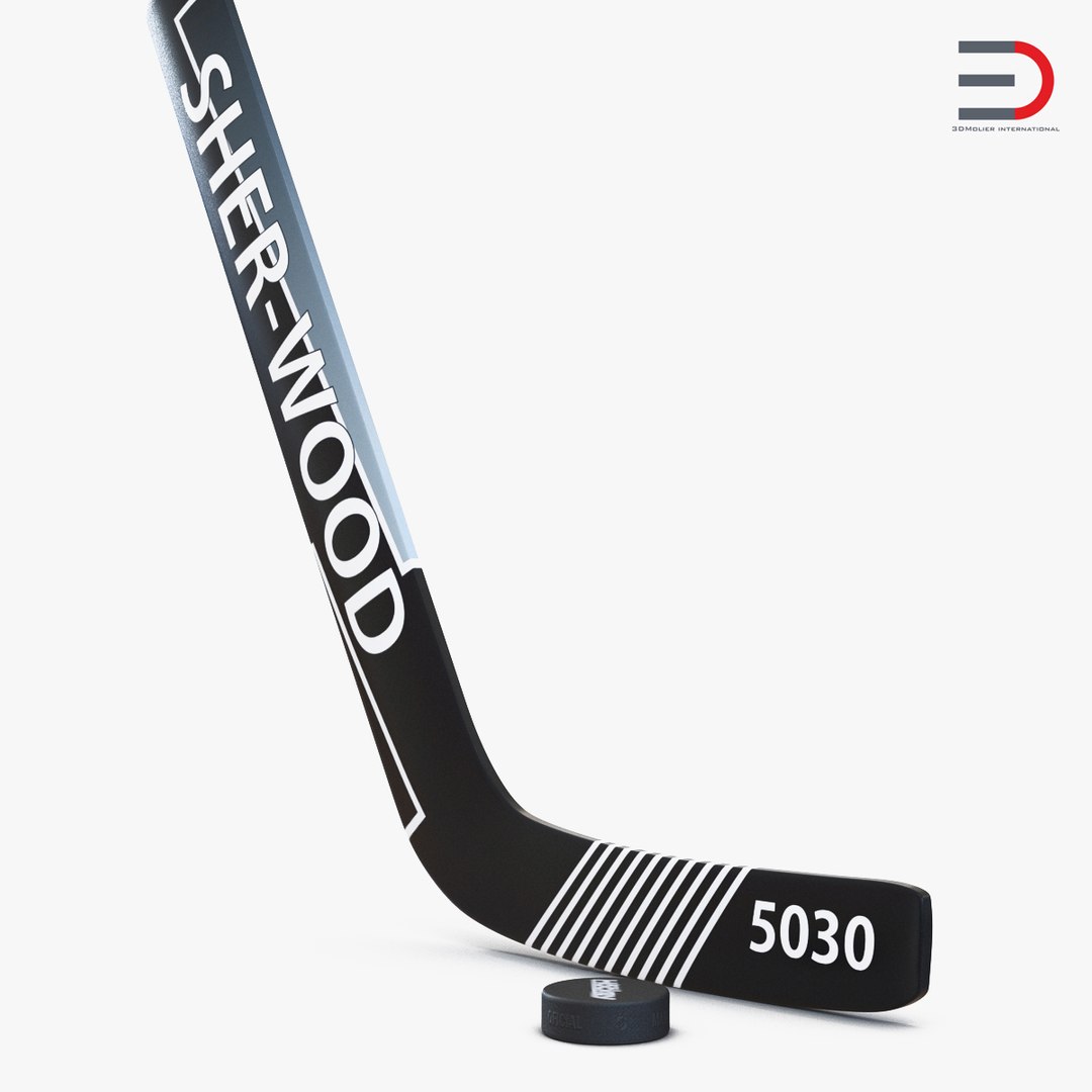 Goalie Hockey Stick and Puck 3D Models 3D model preview