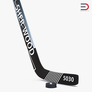 Goalie Hockey Stick and Puck 3D Models
