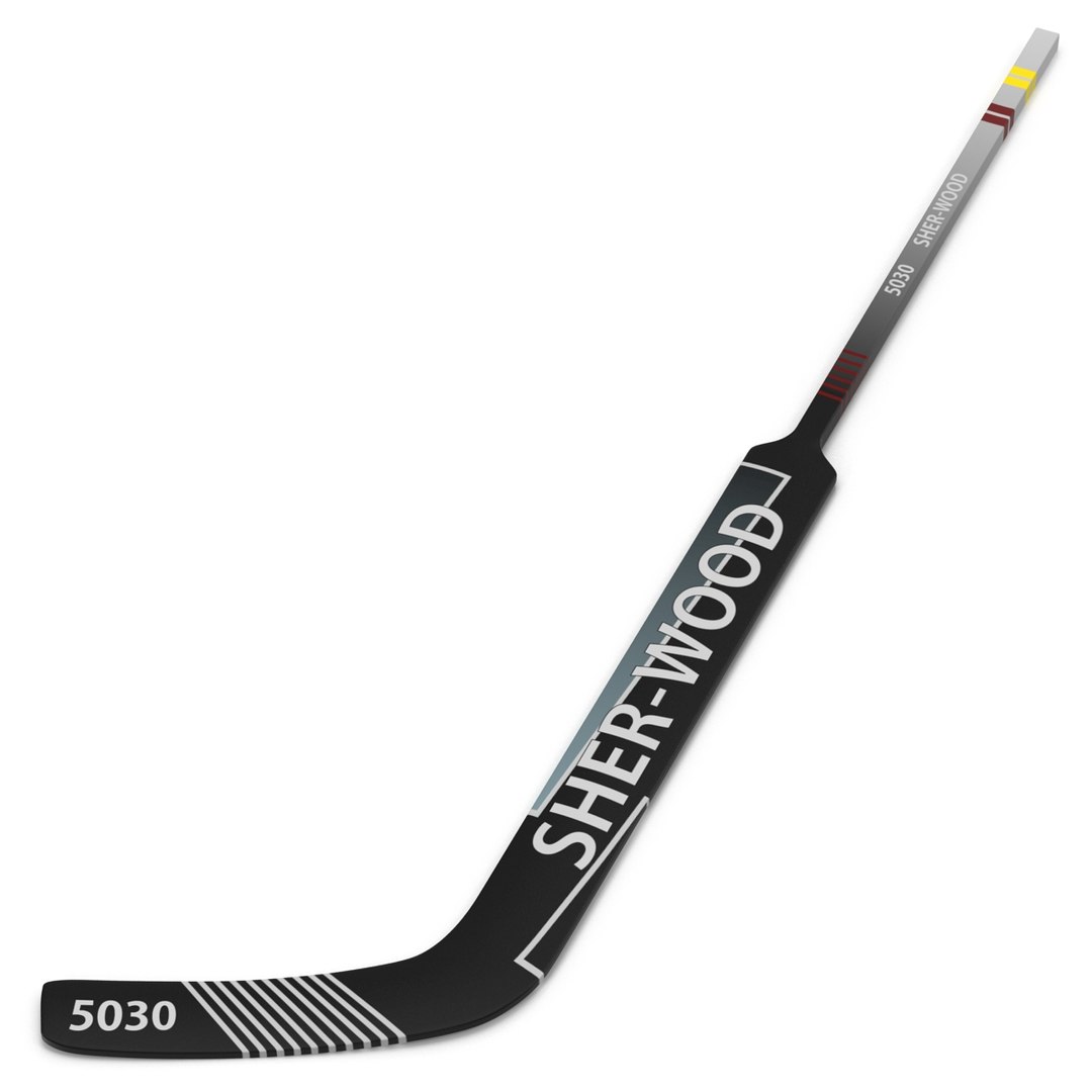 3d goalie hockey stick puck