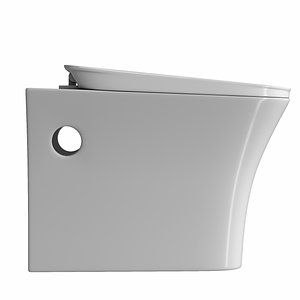 3D wall hung water closet model