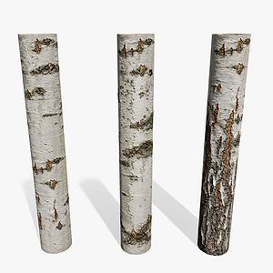 3D model birch tree PBR tiled textures 8K