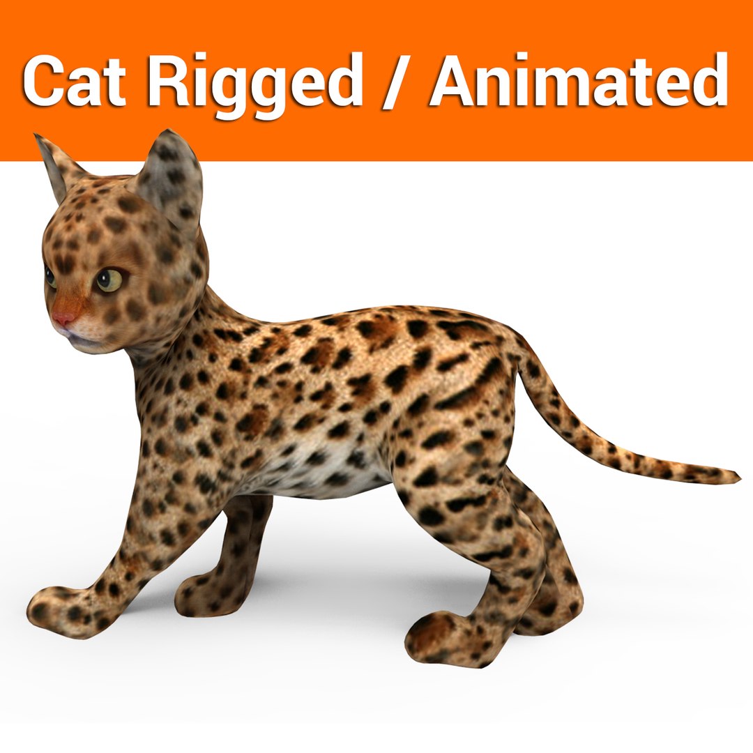 3D Model Cat Rigged Animation - TurboSquid 1204491