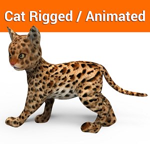 3D model cat rigged animation