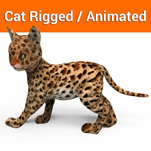 cute cat rigged animated model