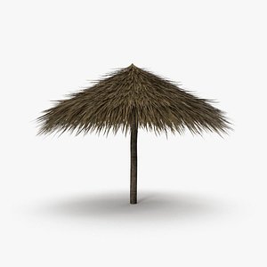 Palm Beach Umbrella 3D model