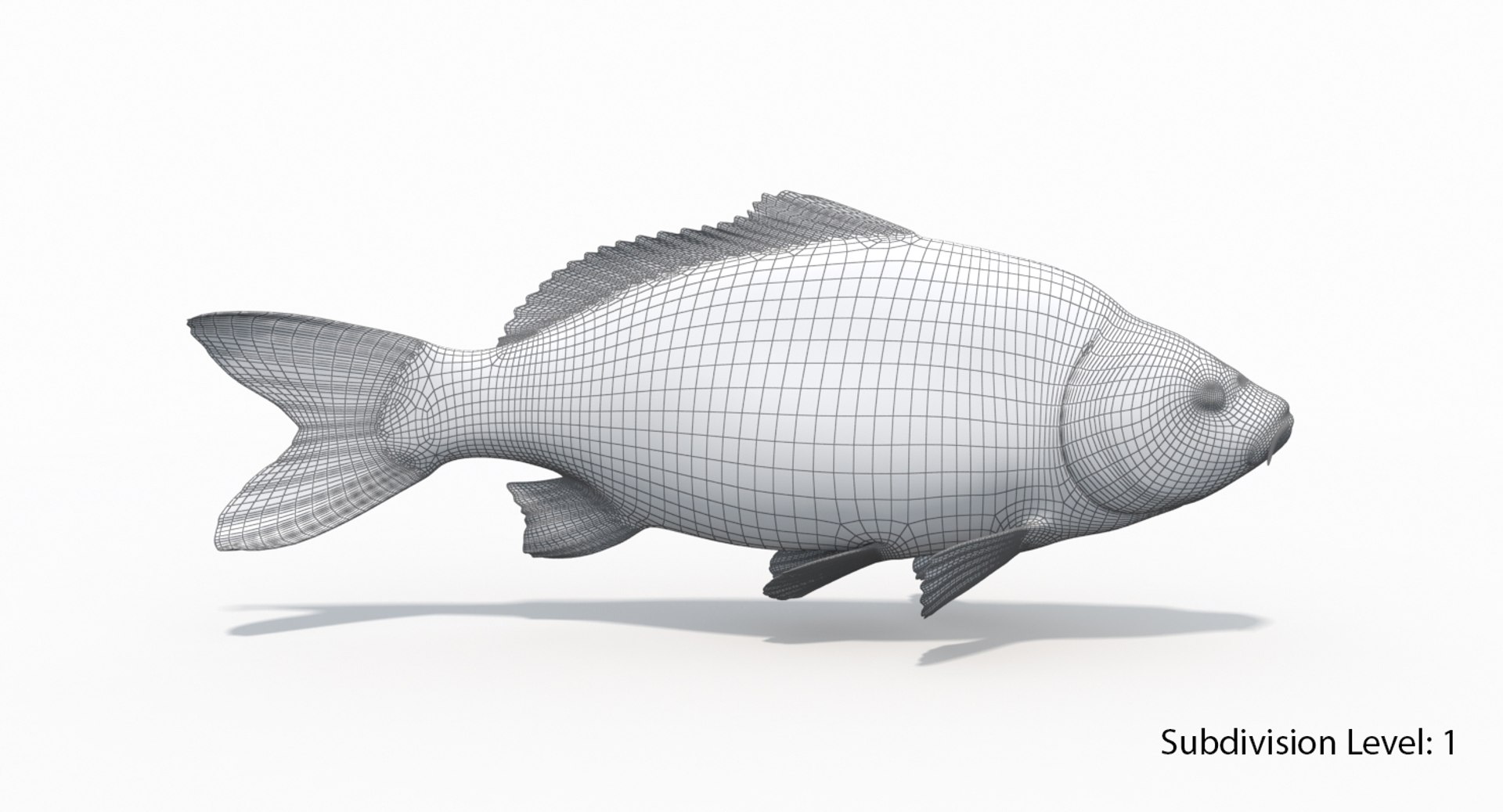 3D European Carp Animation - TurboSquid 1327226