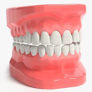 teeth modeled model