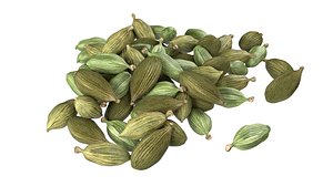 Dried green cardamom pile 3D model