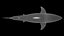 Great White Shark