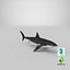 Great White Shark
