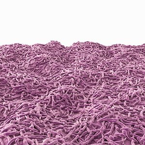 Ureter Lining