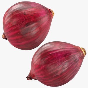 3D Whole Red Onion Collection