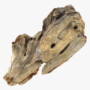 Tree Trunk Piece 08 - Raw Scan 3D model