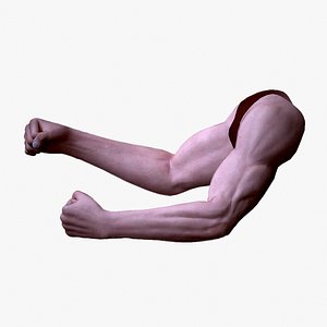 Two Arms Rigged