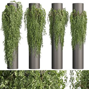 Collection plant vol 526 - bush - outdoor - column - fitowall - ivy 3D model