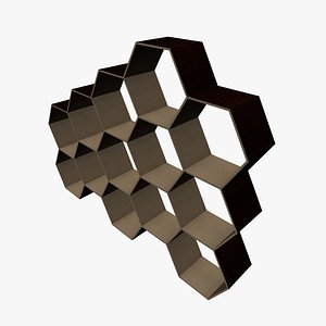 Hexagonal Shelving