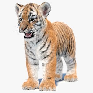 Tiger Cub 3D Model Fur 3D model