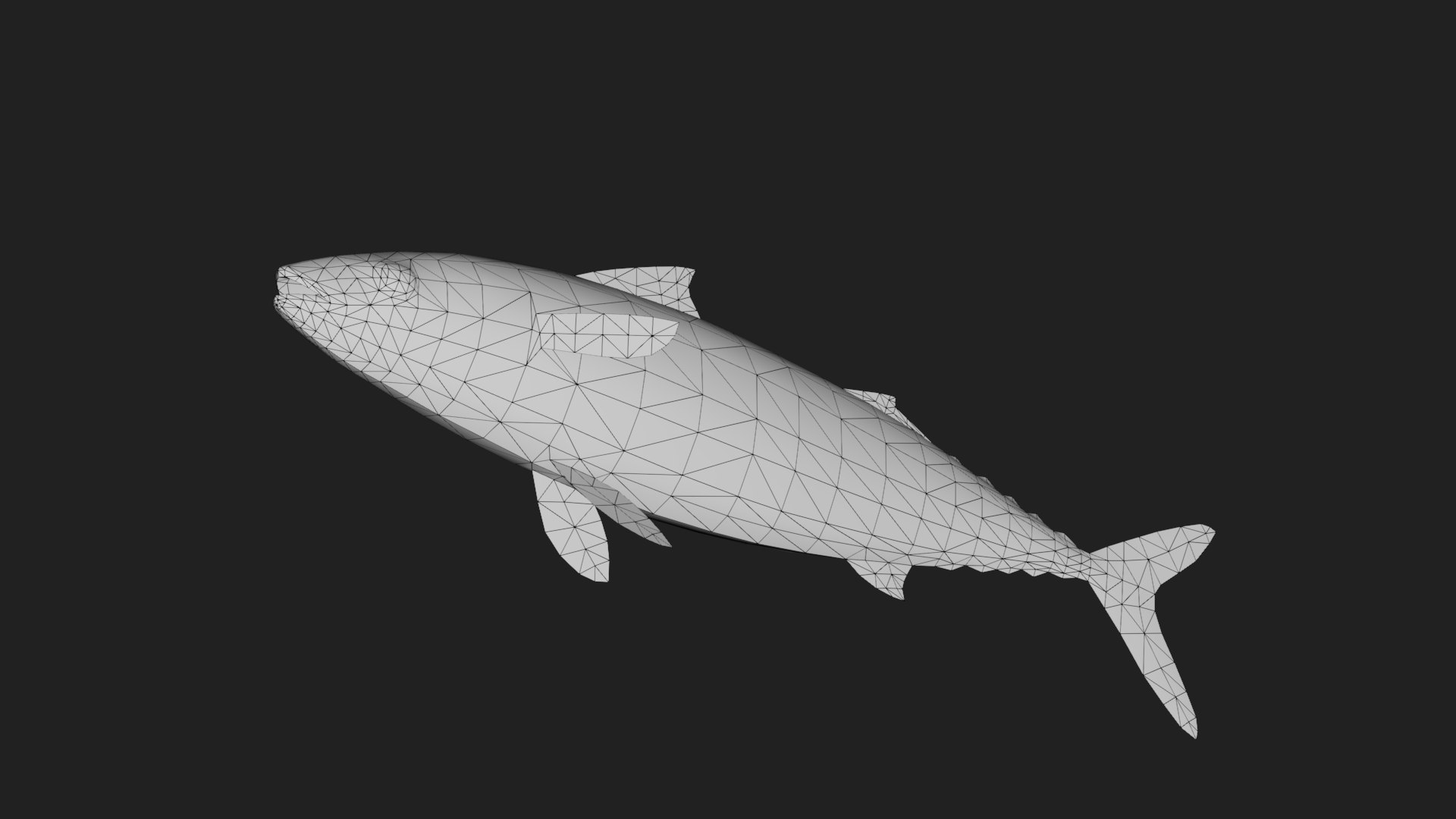 Mackerel 3D Model - TurboSquid 2122900