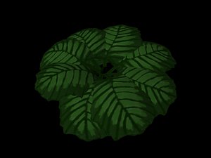 3d green leafy shrub model