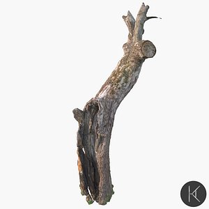 Dead Tree