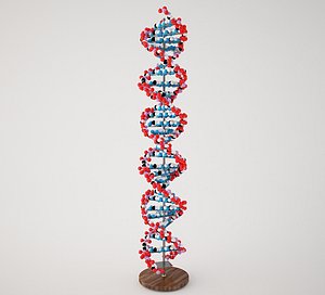 dna max