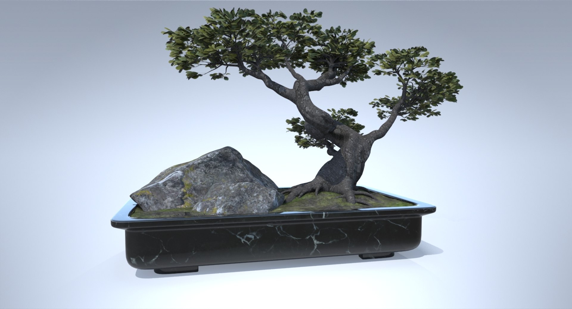 Japan bonsai 3D model - TurboSquid 1243514
