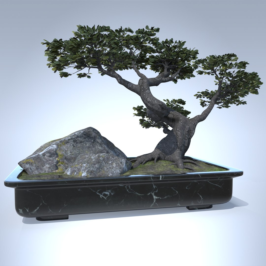 japan bonsai 3D model https://p.turbosquid.com/ts-thumb/KR/pcDPAk/iWJKjlgq/22/jpg/1516033552/1920x1080/fit_q87/595e383e4e60d0668ec0eca9ce006f9abdafc133/22.jpg