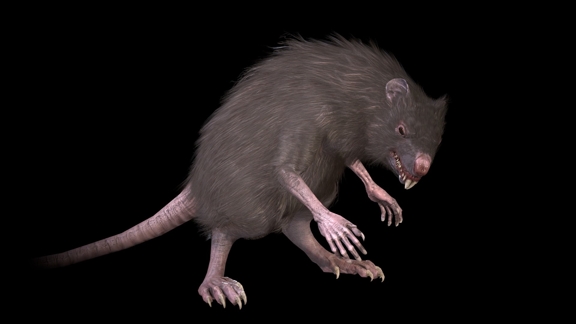 WereRat 3D model - TurboSquid 1786070