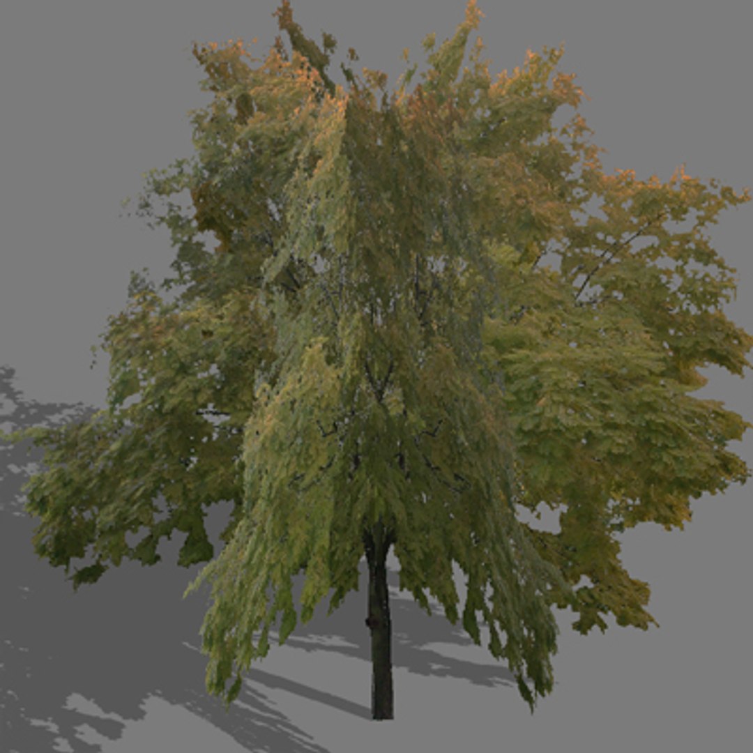tree autumn 3d model https://p.turbosquid.com/ts-thumb/KS/CJ5Lx4/9AyAOWjt/trautumn10/jpg/1275656522/1920x1080/fit_q87/a624cc261ab49b413affb62399b26c789700986c/trautumn10.jpg