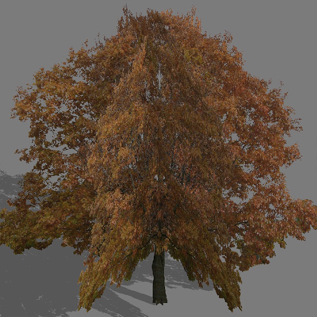 tree autumn 3d model https://p.turbosquid.com/ts-thumb/KS/CJ5Lx4/ROrVEMxy/trautumn06/jpg/1275656522/1920x1080/fit_q87/ed902940e0c53432052b588a5caeeee06dc79d96/trautumn06.jpg