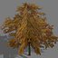 game trees autumn 01