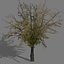 game trees autumn 01