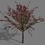 game trees autumn 01