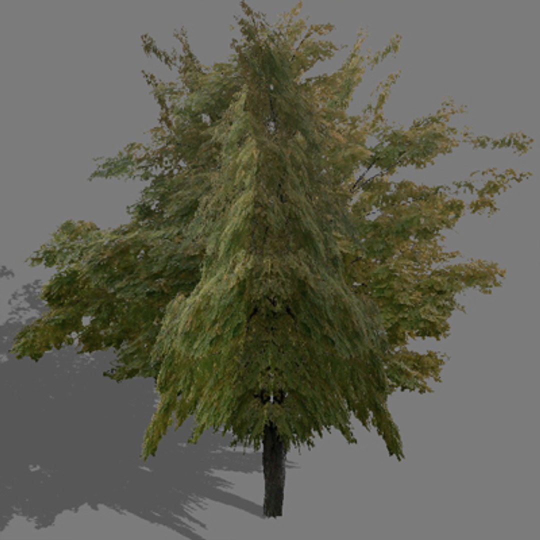 tree autumn 3d model https://p.turbosquid.com/ts-thumb/KS/CJ5Lx4/sZ9KdiB8/trautumn11/jpg/1275656522/1920x1080/fit_q87/2917dfd6ca2f6a9228eeb125b8ba8627ff608edf/trautumn11.jpg