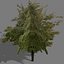 game trees autumn 01