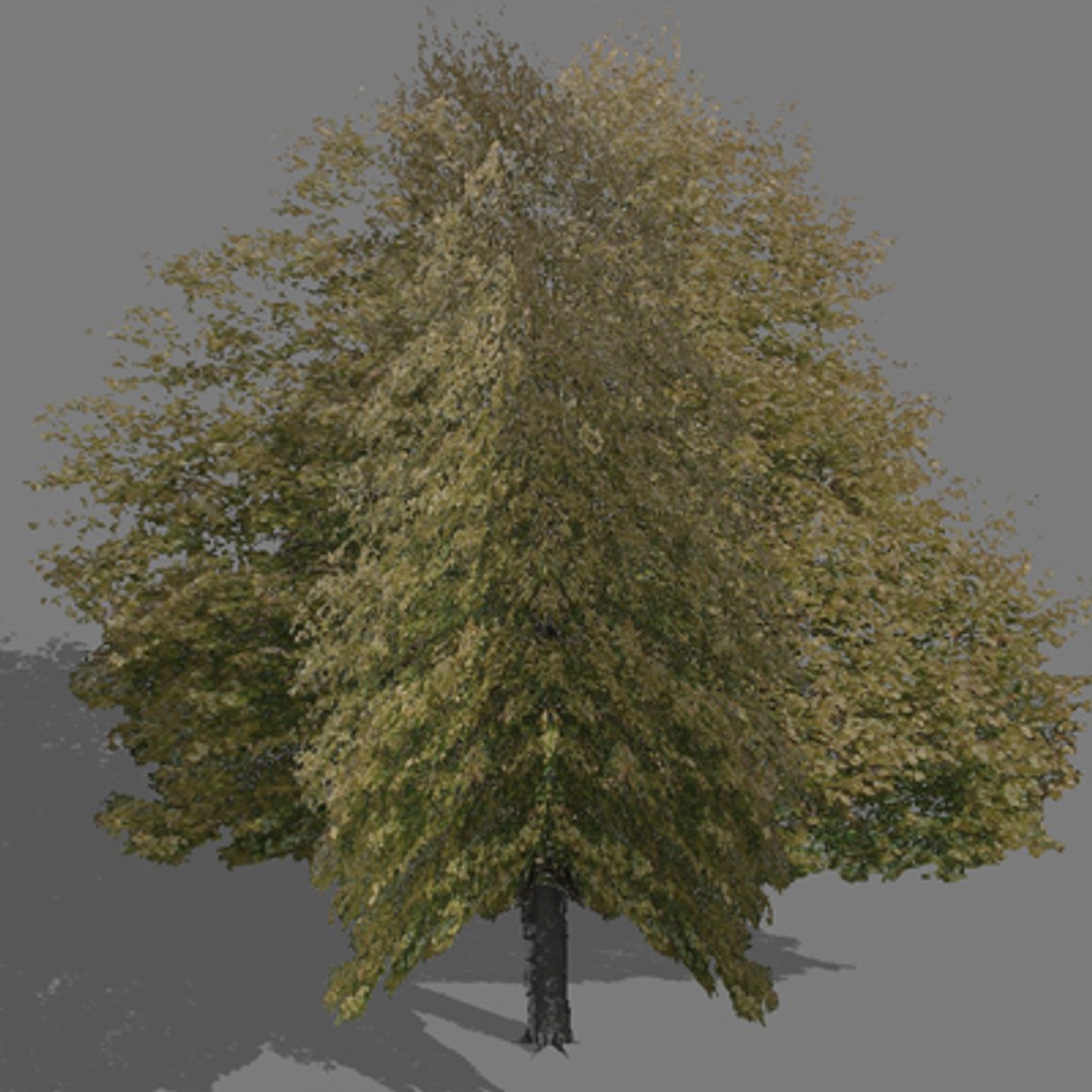 tree autumn 3d model https://p.turbosquid.com/ts-thumb/KS/CJ5Lx4/tlodMlSZ/trautumn13/jpg/1275656522/1920x1080/fit_q87/db6debb9a69bcf553ba025bec8190e0bb62d8062/trautumn13.jpg