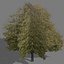 game trees autumn 01