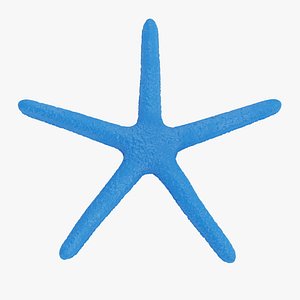 blue starfish model